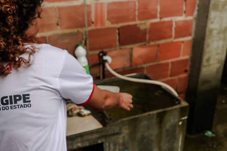 Prevenção é essencial contra a proliferação do Aedes aegypti: 4 municípios com alto risco de infestação em Sergipe