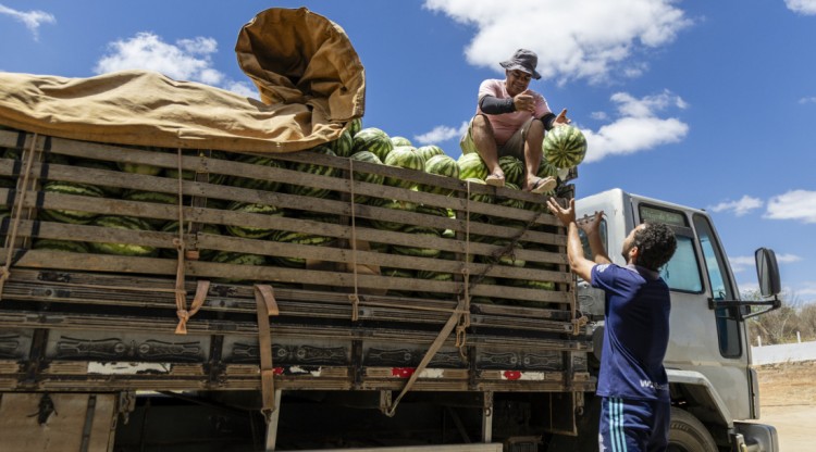 Governo de Sergipe distribui mais de 321 mil quilos de alimentos à população