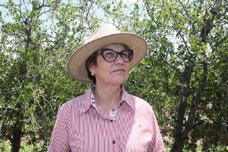 Em Sergipe, Tereza Cristina confirma saída do Ministério da Agricultura