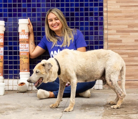Crueldade contra animal comunitário acende alerta sobre educação e reforça importância de leis de proteção animal