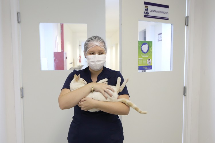 Prefeitura de Aracaju promove campanha de incentivo a abrigo temporário de cães e gatos
