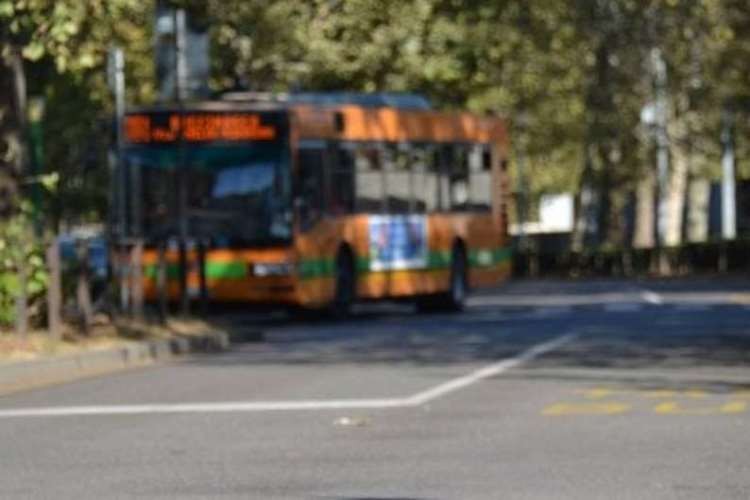 FLAGRA: motorista de ônibus é detido transando com passageira