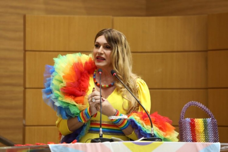 Dia Internacional de Combate à LGBTfobia é destacado no plenário da Alese