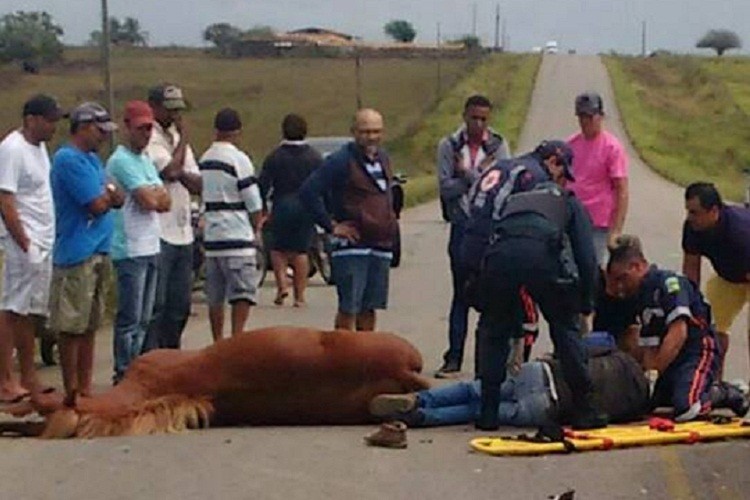 Duas pessoas ficam feridas e cavalo morre em acidente na Rota do Sertão